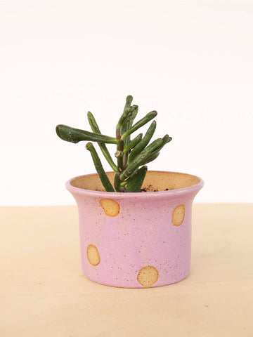 Polka Dot Small Ceramic Handmade Planter by Nightshift Ceramics