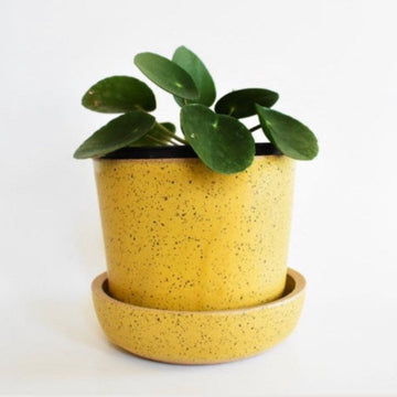 Simple Rounded Planter Set