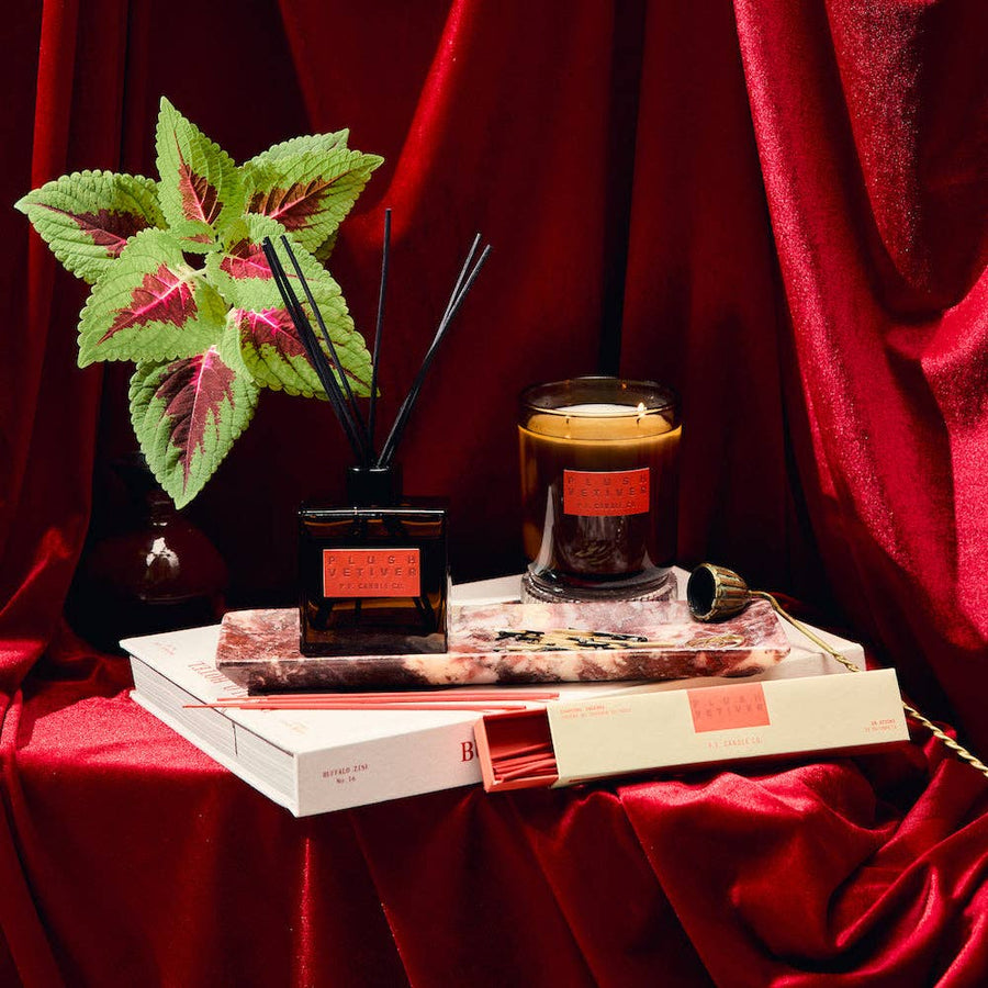 Plush Vetiver– HI-FI Reed Diffuser by P.F. Candle Co.