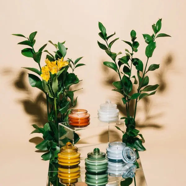 Cactus Flower Green Glass Jar with Lid 3 oz Beam Candle by Paddywax