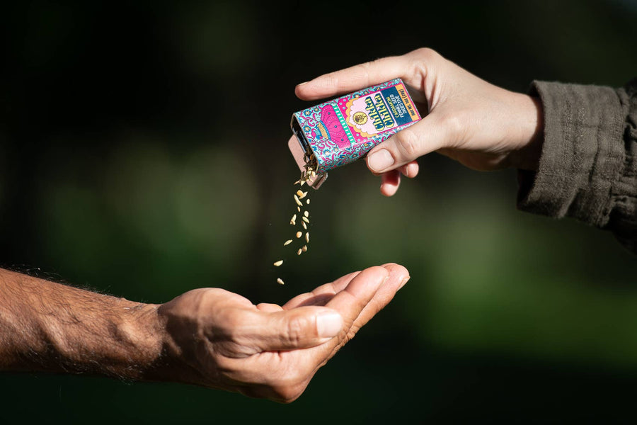 Cardamom Chikka Chikka Fennel Digestive Tin