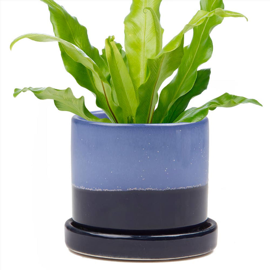 Cobalt Big Minute Pot & Saucer