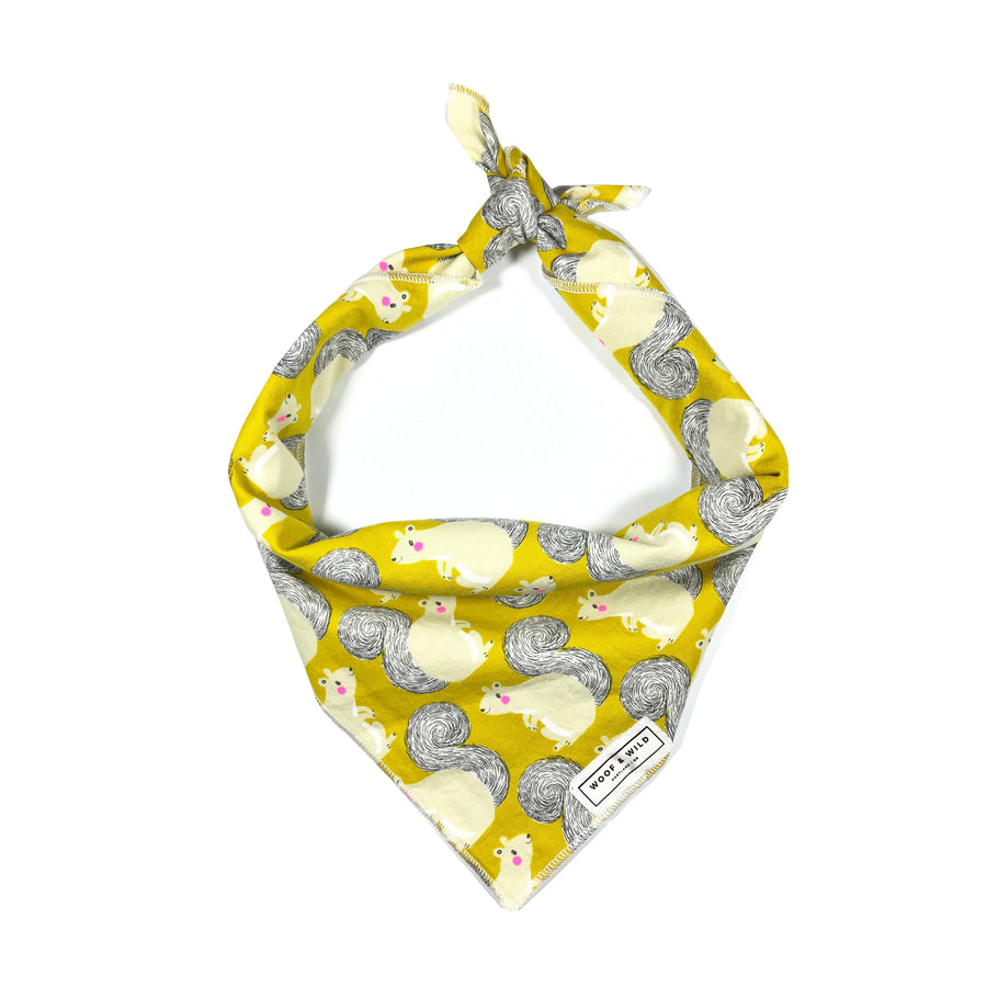 Rocky Dog Bandana