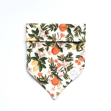 Amalfi Dog Bandanas