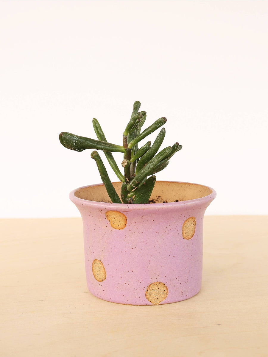 mini ceramic flower pots Polka Dot Small Planter