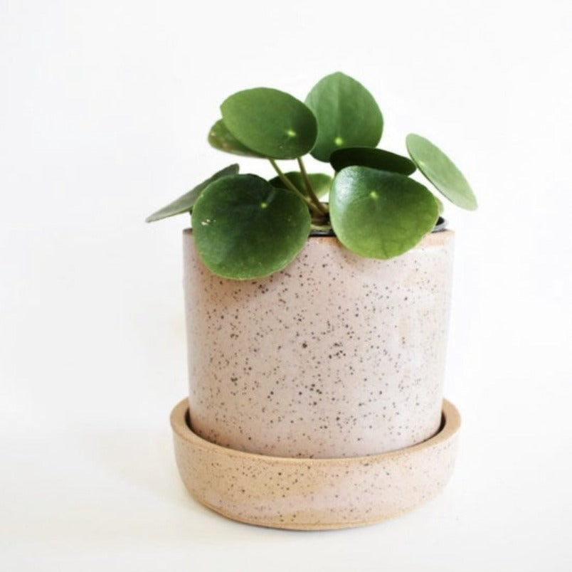 Simple Rounded Planter Set