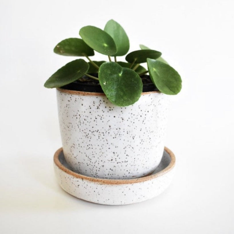 Simple Rounded Planter Set