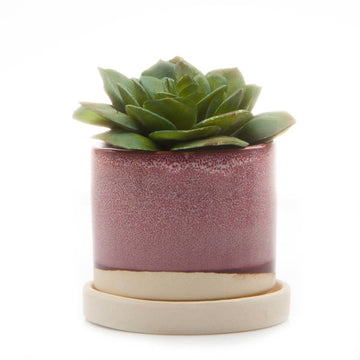 Burgundy Small Minute Pot & Saucer