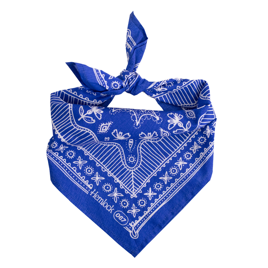 No. 67 Nyla Bandana