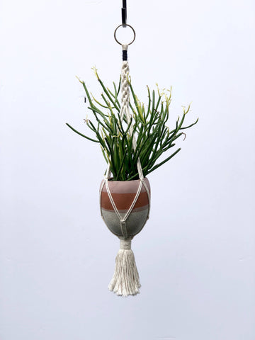 Garden Apartment Macramé Plant Hanger