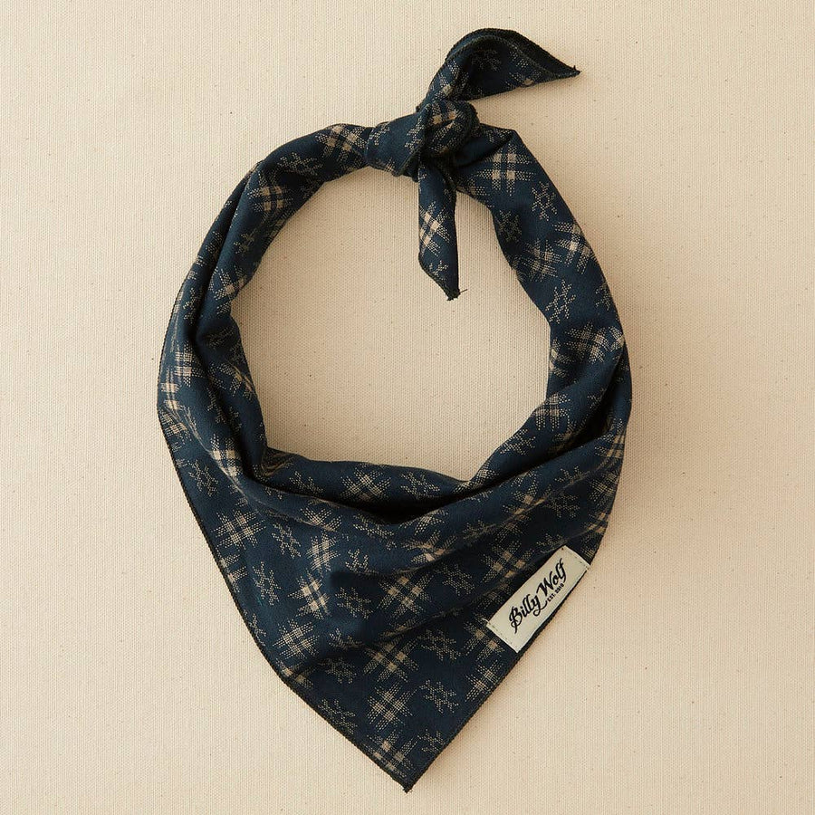 Paxton Bandana