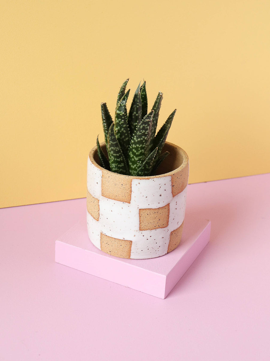 White Checkerboard Small Ceramic Handmade Planter by Nightshift Ceramics