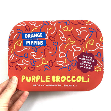 Purple Broccoli Windowsill Salad Kit