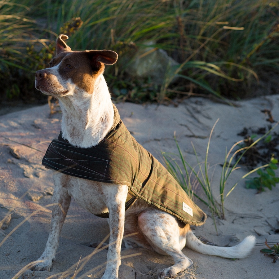 Sterling K9 Coat, Waterproof + Reversible